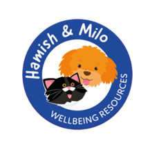 ‘They found their voice’ – The experience of Hamish & Milo at Wicklea Academy